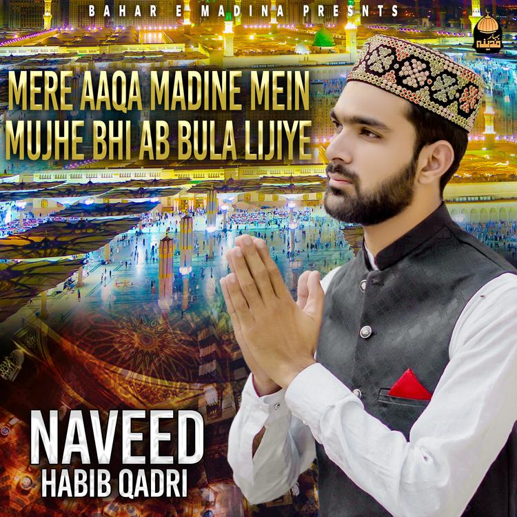 Naveed Habib Qadri's avatar image