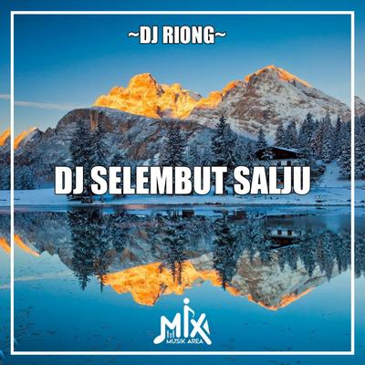 DJ Selembut Salju - Inst's cover