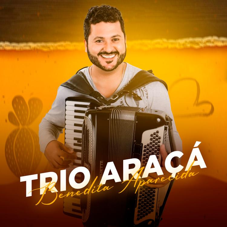 Trio Araçá's avatar image