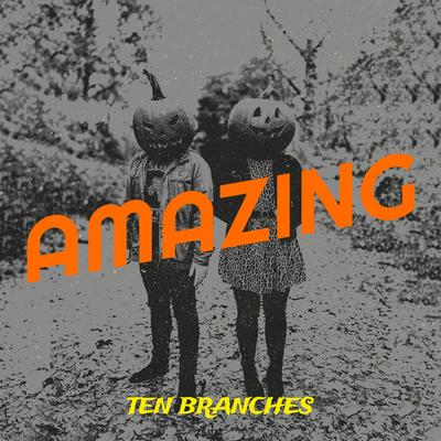 Amazing By Ten Branches's cover