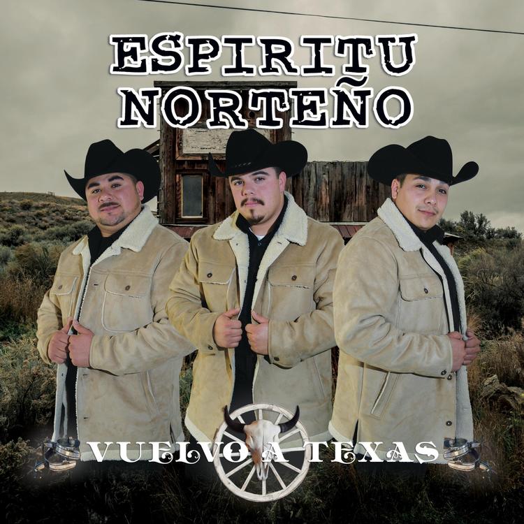 Espiritu Norteño's avatar image