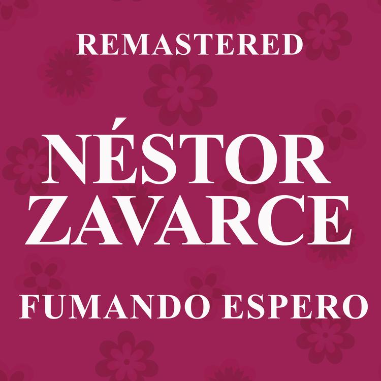 Néstor Zavarce's avatar image