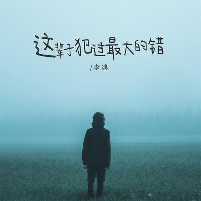 这辈子犯过最大的错 (DjBanan版)'s cover