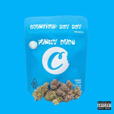 Countitup Day Day's cover