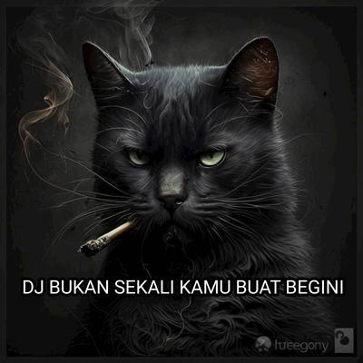 DJ BUKAN SEKALI KAMU BUAT BEGINI's cover