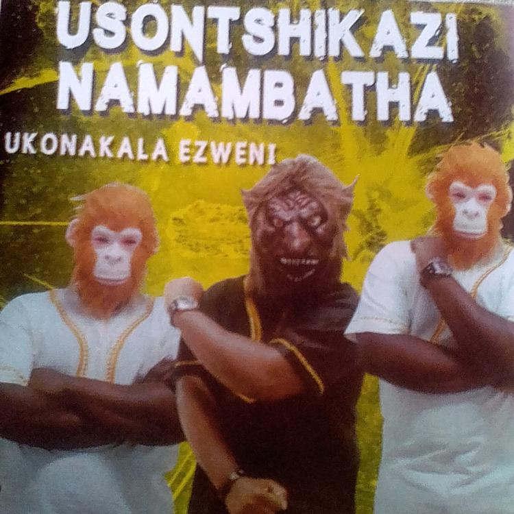 Usontshikazi Namambatha's avatar image