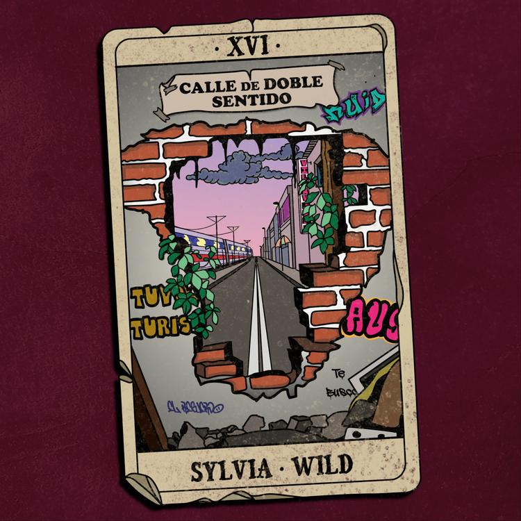 Sylvia Wild's avatar image