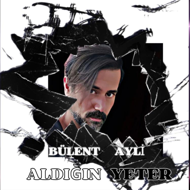 Bülent Ayli's avatar image