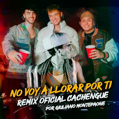 No Voy a Llorar Por Ti (Remix oficial - Techengue)'s cover