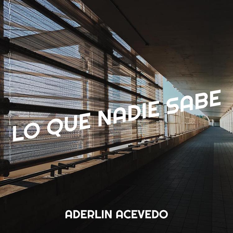 aderlin acevedo's avatar image