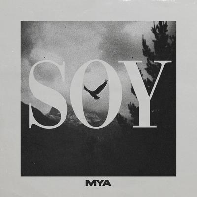 SOY's cover