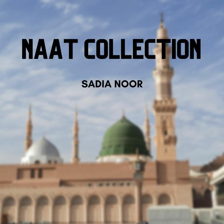 Sadia Noor's avatar image