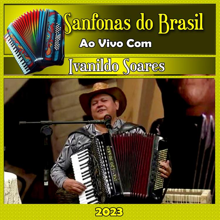 Sanfonas do Brasil's avatar image