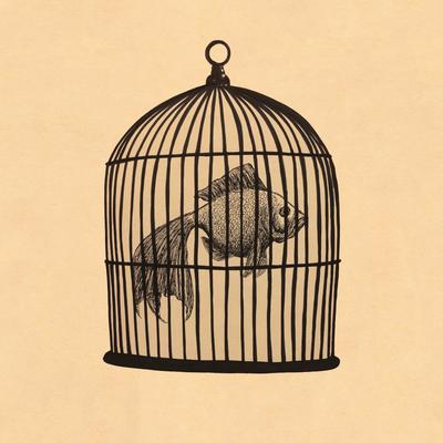 Rule #4 - Fish in a Birdcage's cover