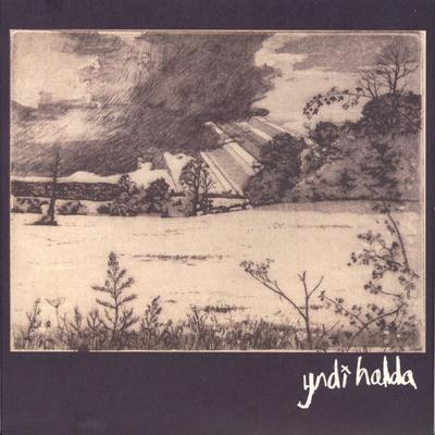 We Flood Empty Lakes By Yndi Halda's cover