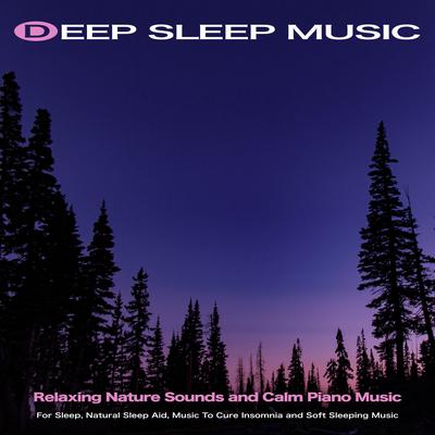 Sleeping Music's cover