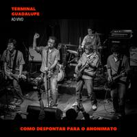 Terminal Guadalupe's avatar cover