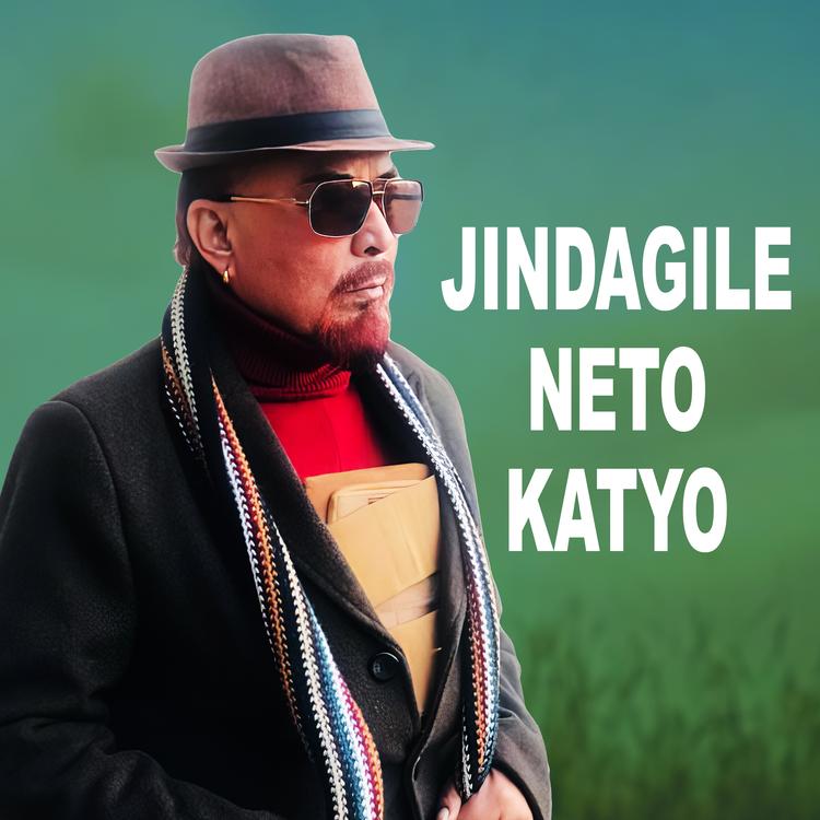 Nabaraj Jung Thapa's avatar image