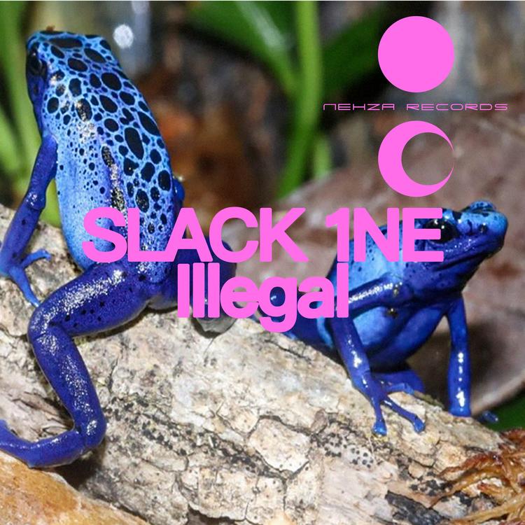SLACK 1NE's avatar image