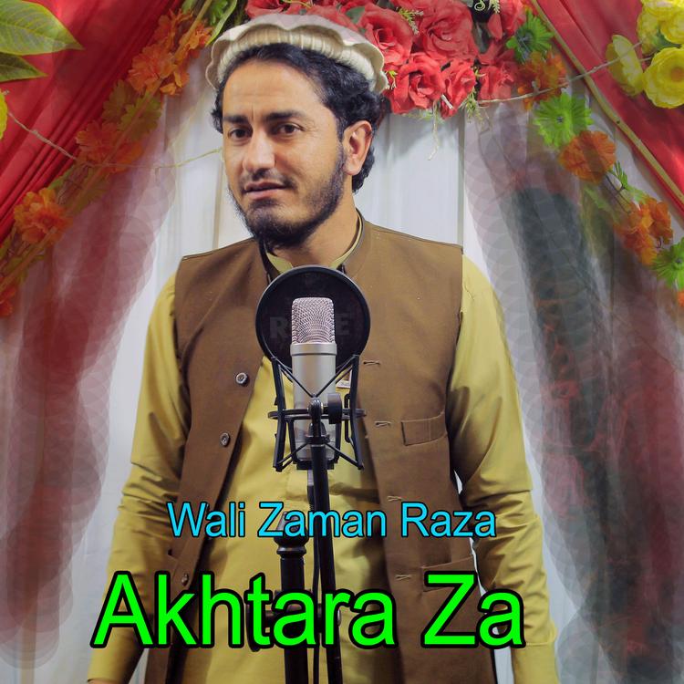 Wali Zaman Raza's avatar image