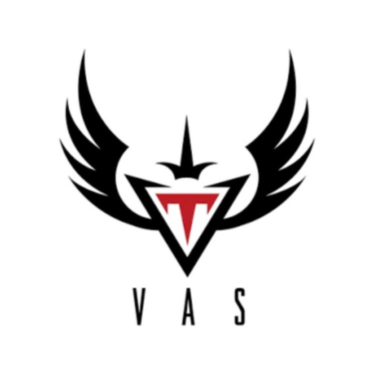 The Vas!'s avatar image