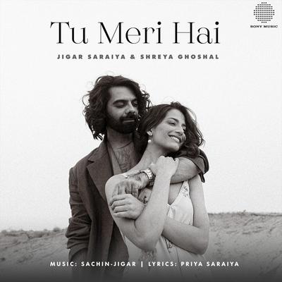 Tu Meri Hai's cover