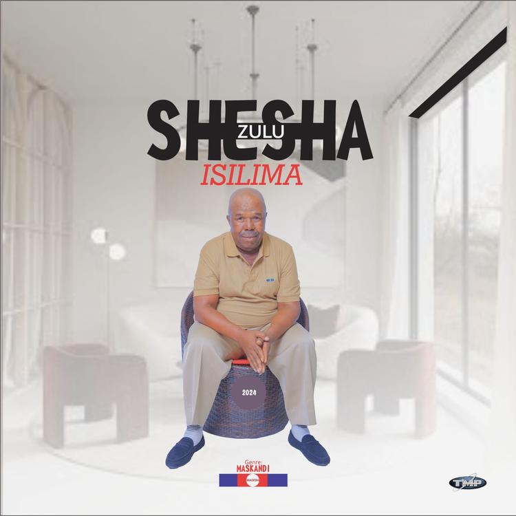 Shesha Zulu's avatar image