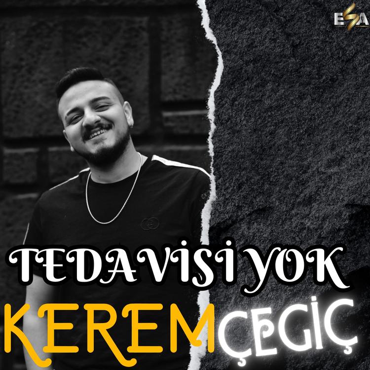 Kerem Çegiç's avatar image