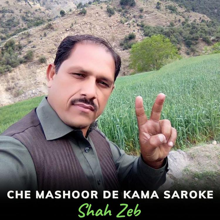 Shah Zeb's avatar image