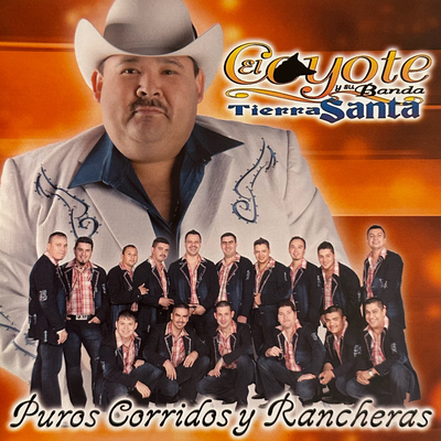 Puros Corridos Y Rancheras's cover