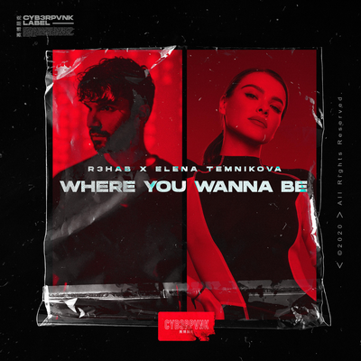 Where You Wanna Be By R3HAB, Elena Temnikova's cover