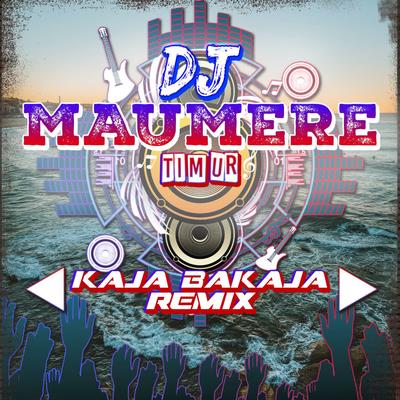 DJ Kaja Bakaja Remix's cover