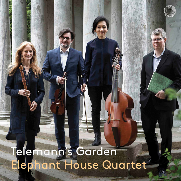 Elephant House Quartet's avatar image