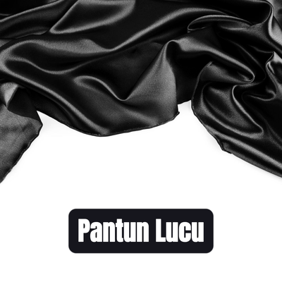 Pantun Lucu's cover