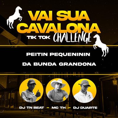 Vai Sua Cavalona - Tik Tok Challenge By DJ TN Beat, DJ DUARTE, MC TH's cover