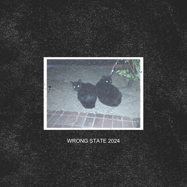 WRONG STATE's avatar image