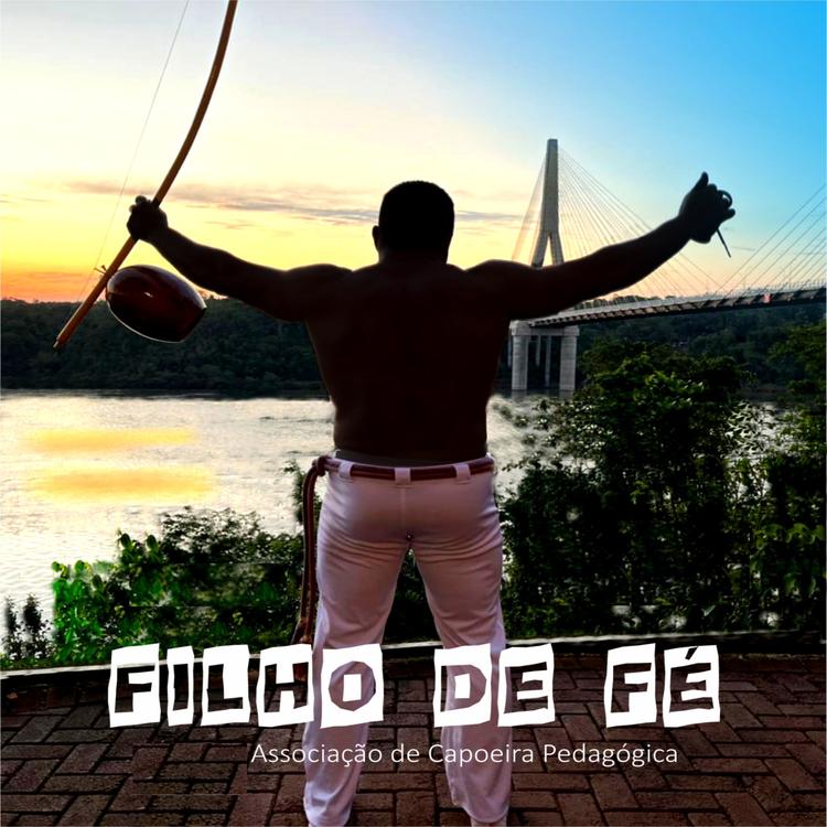 Associação de Capoeira Pedagogica's avatar image