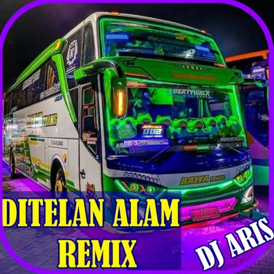 Ditelan Alam (Remix)'s cover