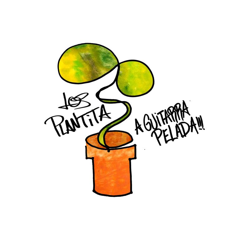 Los Plantita's avatar image