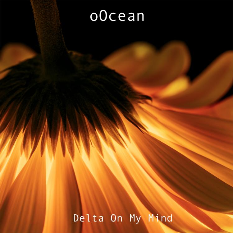 oOcean's avatar image