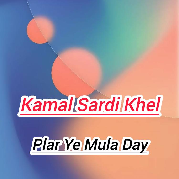 Kamal Sardi Khel's avatar image