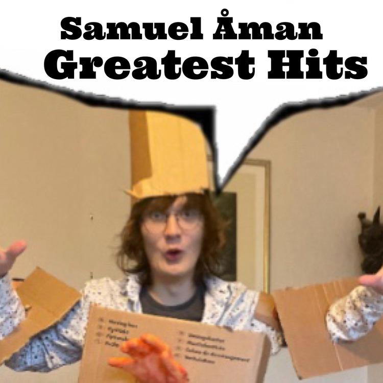 Samuel Åman's avatar image