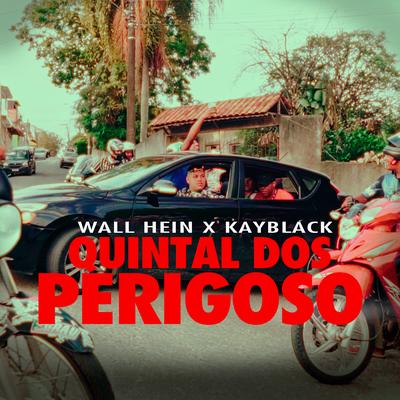 Quintal dos Perigoso By Wall Hein, KayBlack's cover