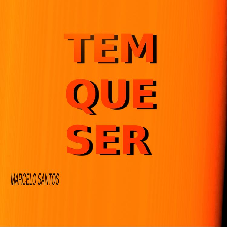 Marcelo Santos's avatar image