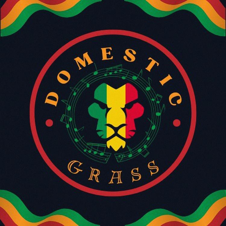 Domestic Grass's avatar image