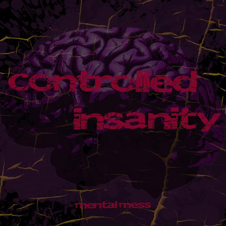 coNtrolled insanitY's avatar image