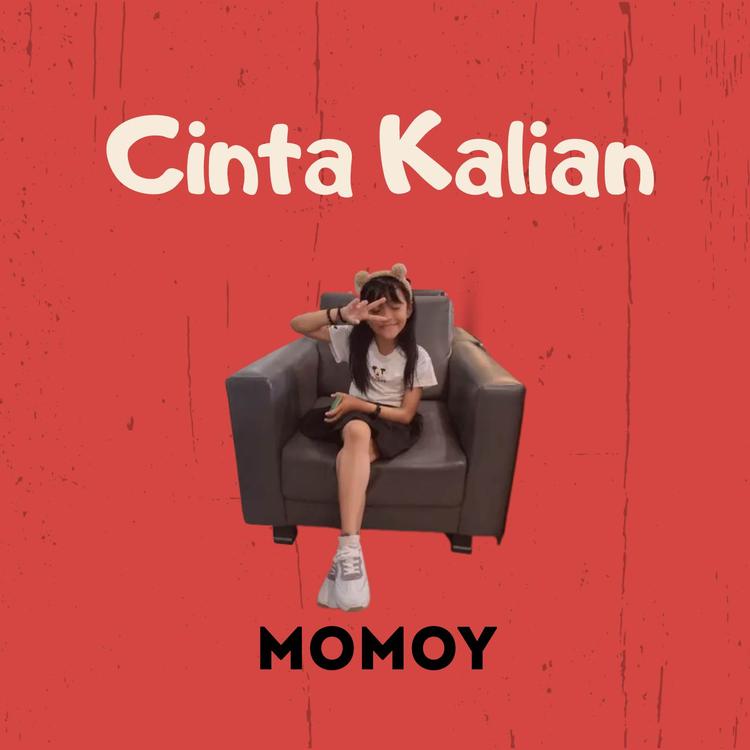 Momoy's avatar image