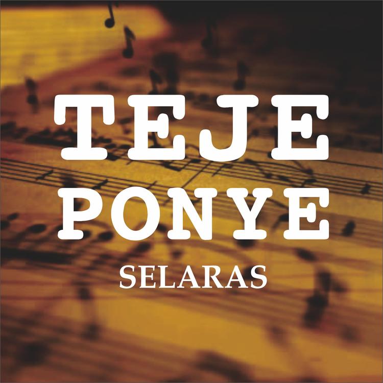 Teje Ponye's avatar image