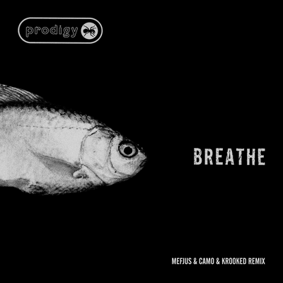 Breathe (Mefjus & Camo & Krooked Remix)'s cover