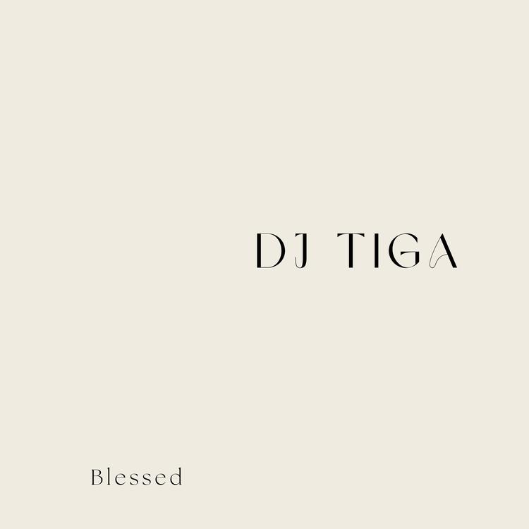DJ Tiga's avatar image